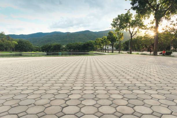 Best Driveway Paving Contractor  in Hoquiam, WA